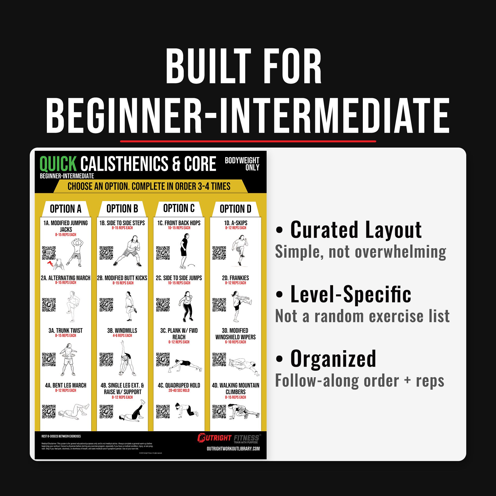 Calisthenics & Core Workout Poster – Beginner to Intermediate Bodyweight Strength Training Wall Chart with QR Video Demos – 18x24 - Image 5