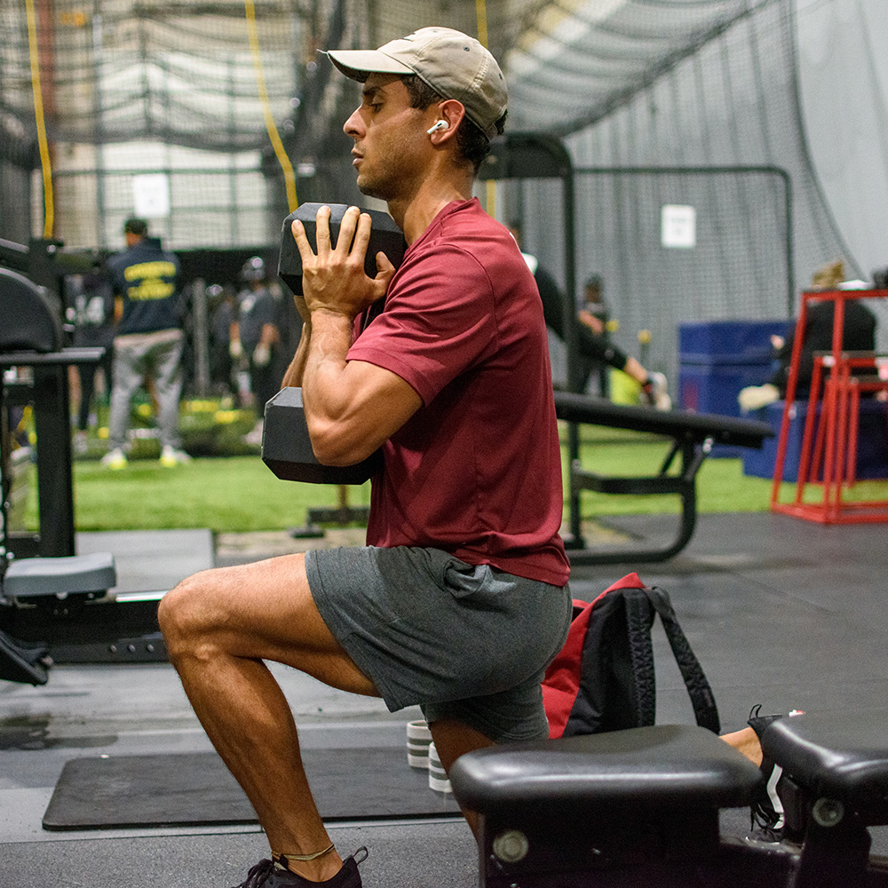 Dumbbell Squats, Pulls, & Presses V1