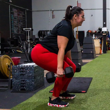 Dumbbell Squats, Pulls, & Presses V2