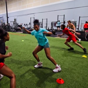 Agility Ladder & Cones V2