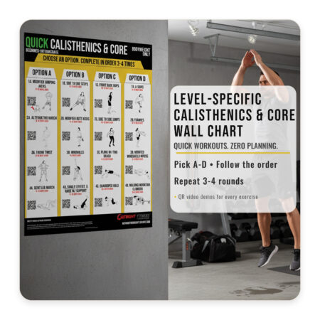 Quick Calisthenics & Core Level-Specific Workout Wall Chart — 18x24 — Beginner–Advanced — Bodyweight Only