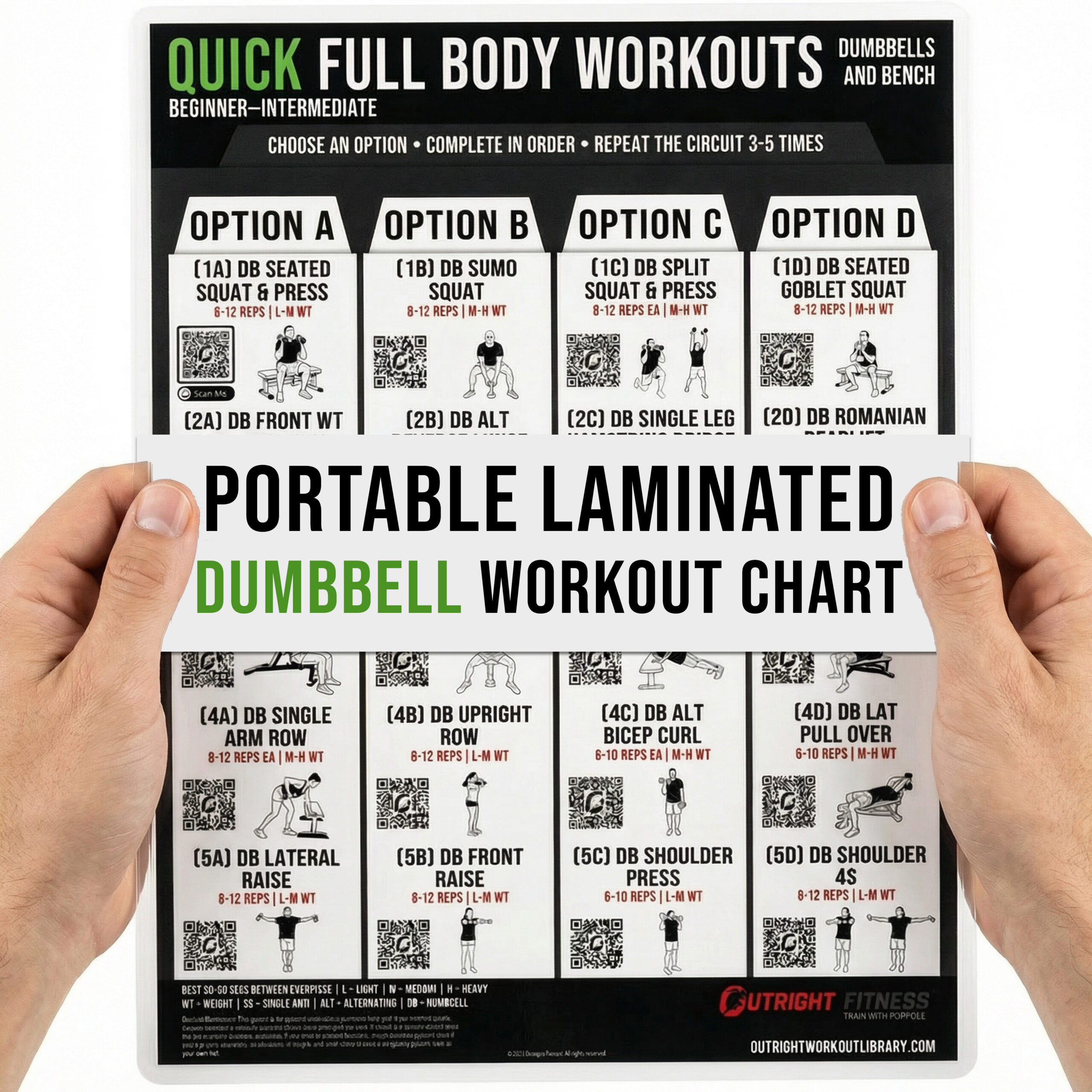 Dumbbell & Bench Compact Workout Chart with Guided Coaching & Video Demos - Portable Double-Sided Laminated Full Body Strength Training Guide - 8.5x11