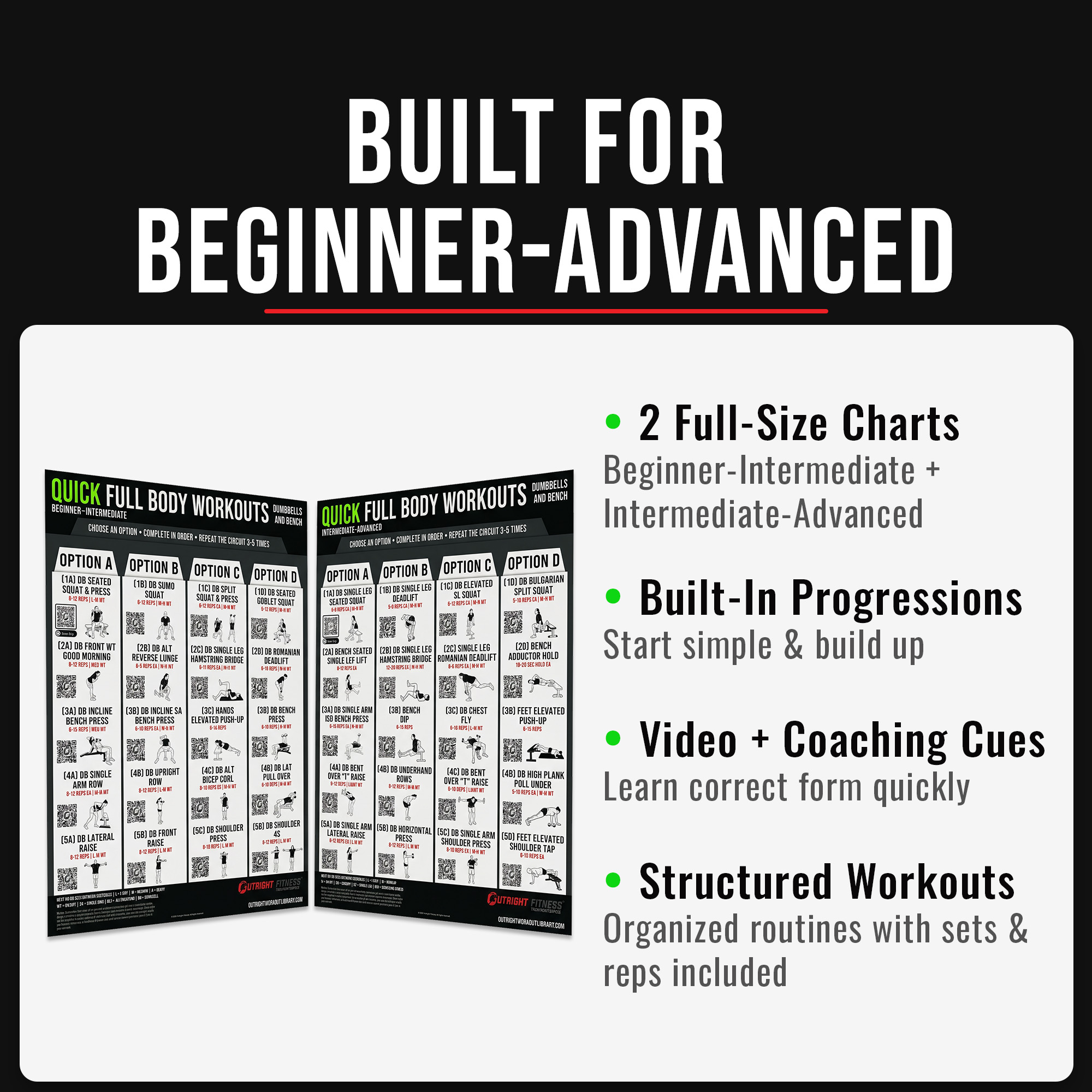 Dumbbell & Bench Workout Poster Bundle with Guided Coaching & Video Demos - Beginner to Advanced Full Body Strength Home Gym Wall Charts - 18x24 - Image 5