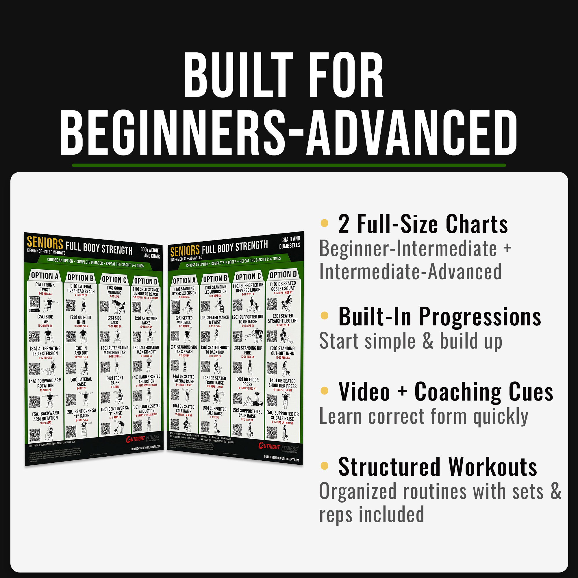 Senior Fitness Workout Poster Bundle – Beginner to Advanced Chair Exercise Wall Charts with QR Video Demos – 18x24 - Image 5